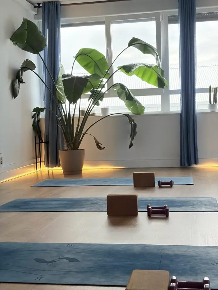 Sala del estudio de yoga en Berango con esterillas azules, bloques de corcho y mancuernas junto al ventanal